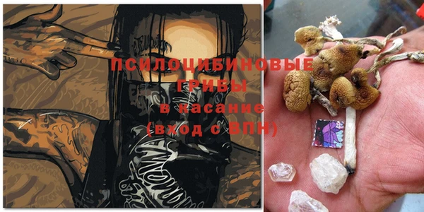 кокаин колумбия Новозыбков