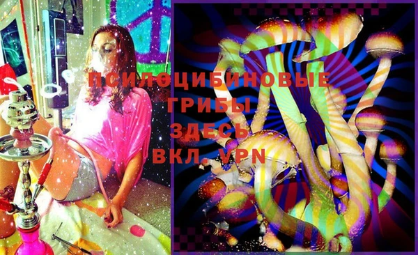 кокаин колумбия Новозыбков